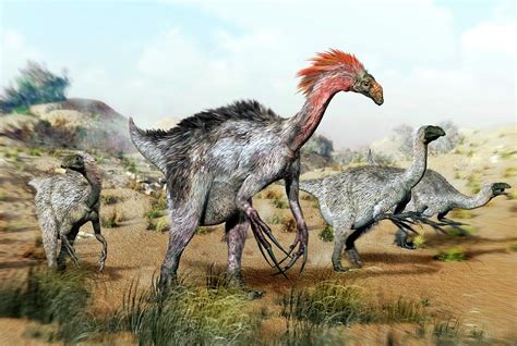 Therizinosaurus Dinosuars Photograph By Jose Antonio PeÑas Pixels