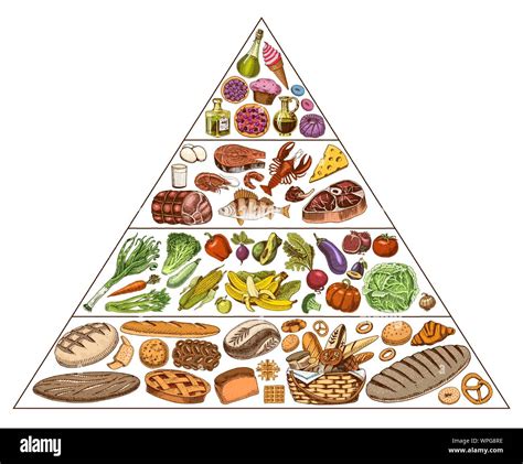 Healthy Food Plan Pyramid Infographics For Balanced Diet Percentage