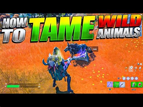 Fortnite Season 6 How To Find And Tame Wolves