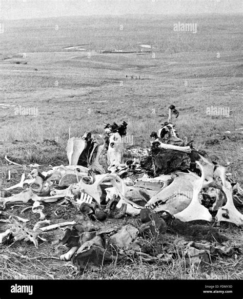 Pile Of Bones At The Site Of George Armstrong Custers Last Stand In