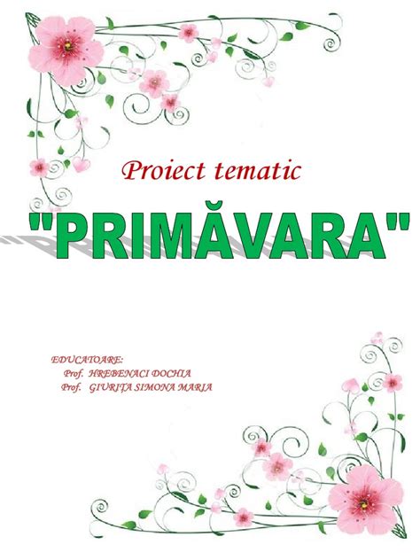 Proiect Tematic Primavaradocx