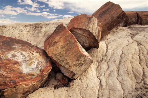 Petrified Forest National Park The Complete Guide