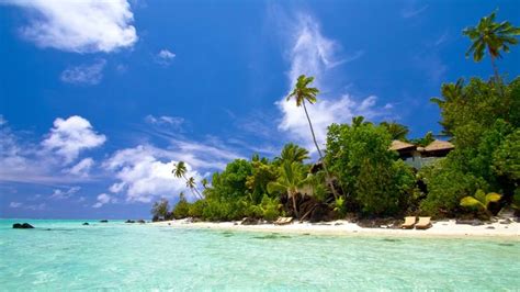 Pacific Resort Aitutaki Luxury Hotel In Cook Islands Turquoise Holidays