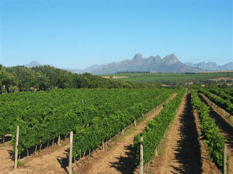 A Taster Tour Of The Paarl Wine Route Rhino Africa Blog