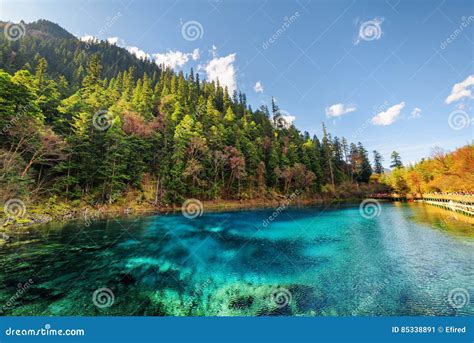 The Five Coloured Pool With Azure Water Among Autumn Woods Stock Image