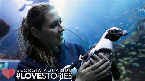 Aquarium Love Stories Season 2 Youtube