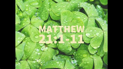 Matthew 21 1 11 Scripture Video Youtube