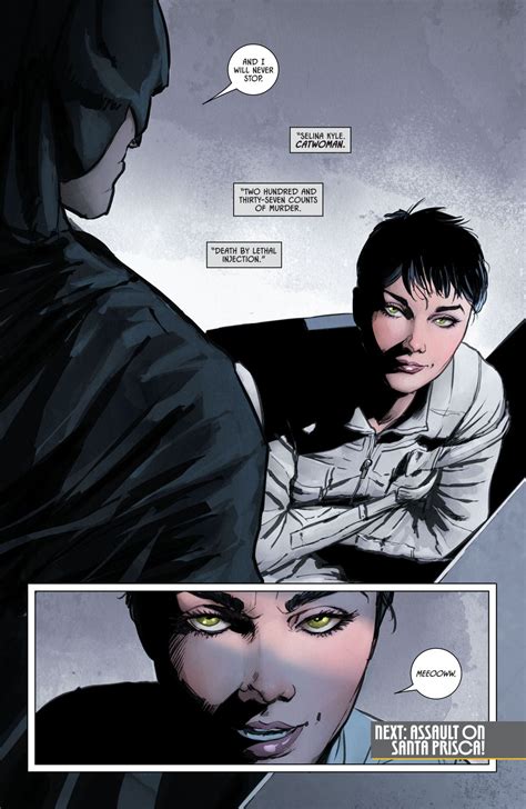 An Image Of A Comic Scene With Batman And Catwoman In The Background