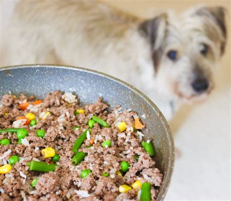 Healthy Homemade Dog Food Low Carb Gluten Free Dog Food