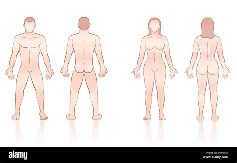 Nude Female Diagram