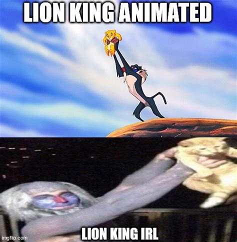 Lion King Rafiki Simba Imgflip