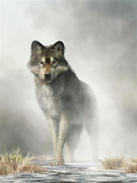 Gray Wolf In Fog Digital Art By Daniel Eskridge Pixels