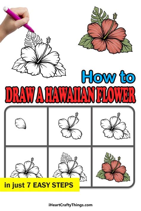 Hawaiian Flower Drawing How To Draw A Hawaiian Flower Step By Step