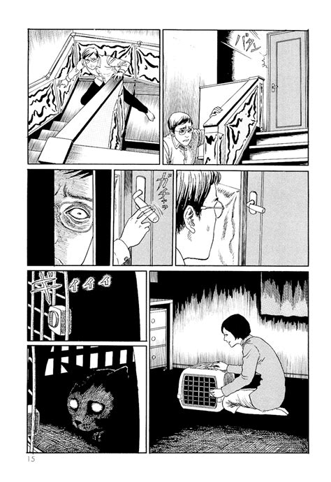 Junji Ito S Cat Diary Yon And Mu Yon And Mu Online Cat Meme Stock Pictures And Photos