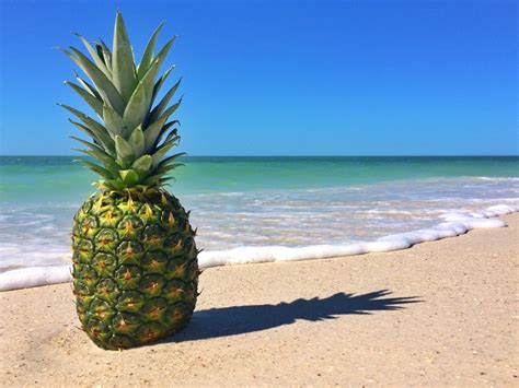 Pineapple Computer Wallpaper Backgrounds Pineapple Beach Photography