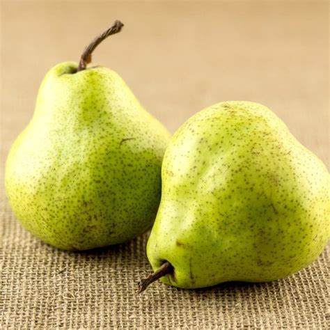 Pears William Large New Season Zone Fresh