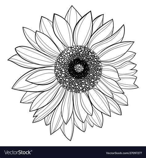Free Free 118 Sunflower Svg Black And White SVG PNG EPS DXF File