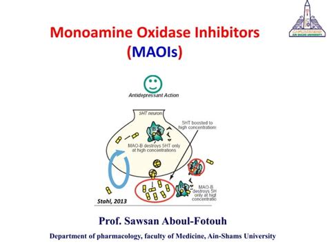Monoamine Oxidase Inhibitors Maois Ppt