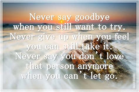 Never Say Goodbye When You Still Want To Try Silver Quotes