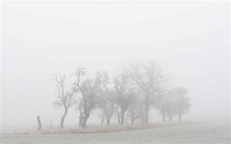 Nebel Eine Der Gefährlichsten Wettererscheinungen Tiroler