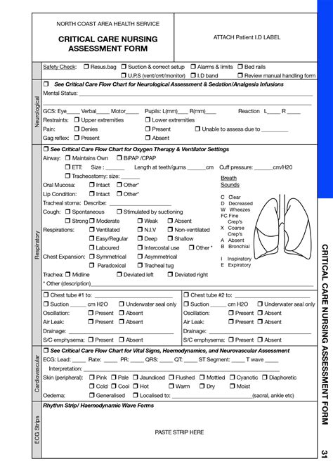 Nursing Assessment Cheat Sheet For Clinicals Critical Care Nursing