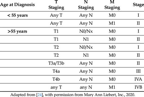 Pathology Outlines Ajcc Tnm Staging Off