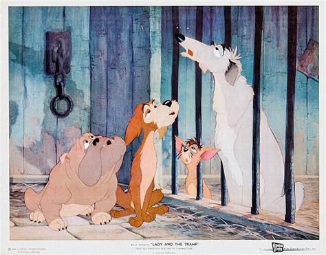 100 Years Of Cinema Lobby Cards Lady And The Tramp 1955