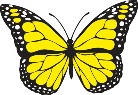 Butterfly Butterfly Moths And Butterflies Monarch Butterfly Clipart - Butterfly Clipart Animals ...