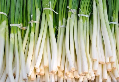 Lettuce is like a must ingredient of salad. 5 Super-Fast Indoor Vegetables You Can Grow In About A Month