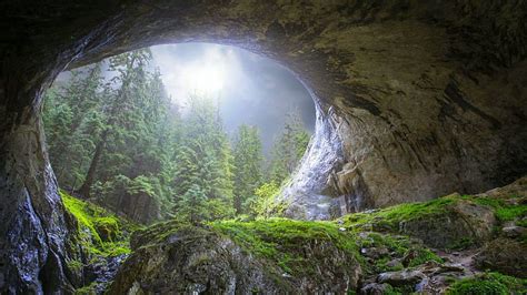 Peek To Heaven Natural Bridge Bulgaria Light Trees Cave Grass