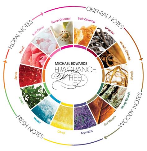 Scent Mapping Diagrams And Aroma Wheels Perfume Polytechnic