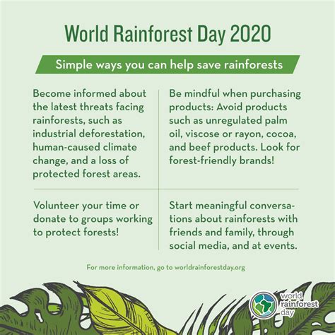 World Rainforest Day Save Rainforests Rainforest Conservation
