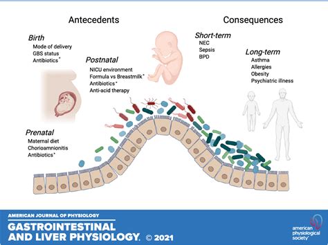 Dynamics Of The Preterm Gut Microbiome In Health And Disease American