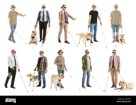 The Blind Leading The Blind Cut Out Stock Images And Pictures Alamy