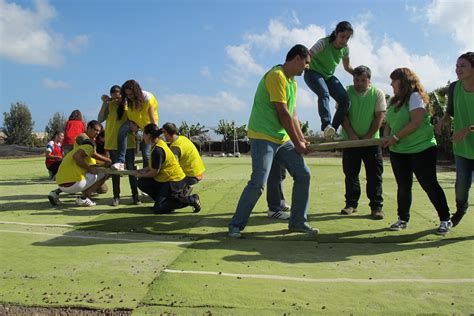 10 Attractive Team Building Ideas For Adults 2024