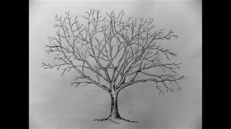 How To Draw A Tree With Pencil Step By Step Youtube