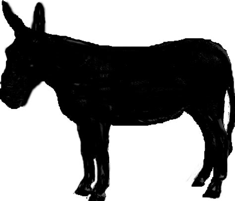 Donkey Heads Clipart Best
