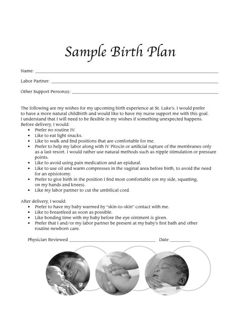 Birth Plan Template Free Printable Stty Sane