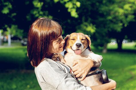 Dog Park Benefits Why Its Good For Fido Top Dog Parks