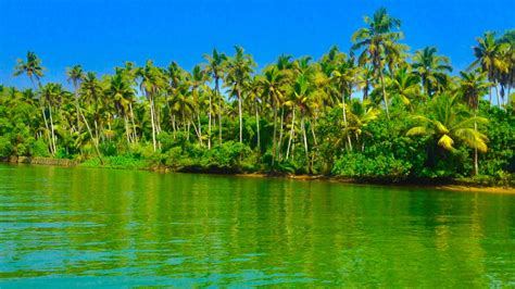 Free Images Backwaters River Coast Trees Tropical Coconut