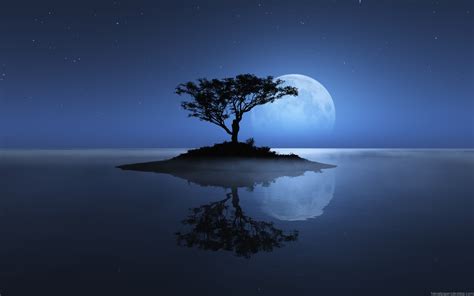 Download Moon Wallpaper Widescreen Desktop Background By Aphillips61