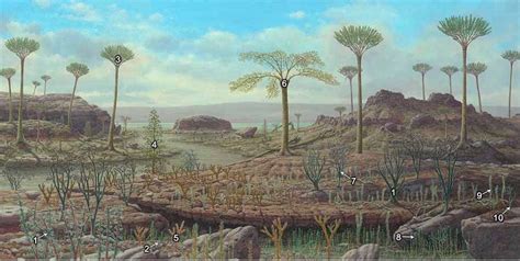 Rise Of A Land Flora Prehistoric World Landscape Prehistoric Animals