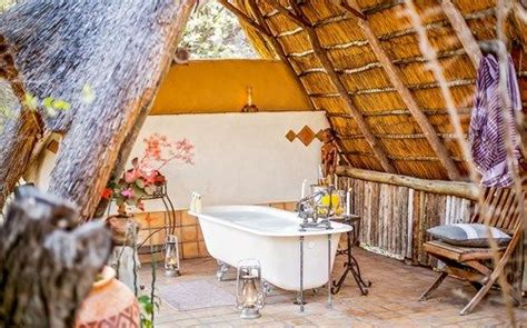 These were the extraordinary coincidences by which the world's most newsworthy psychiatrist happened to land, meteorlike, in zimbabwe. The Hide overlooks an extremely popular waterhole where ...