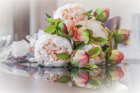 Kostenlose Foto Blume Blütenblatt Strauß Dekoration Rosa Ehe