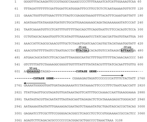 Nucleotide Sequences Of The Putative Promoter Regions And Download