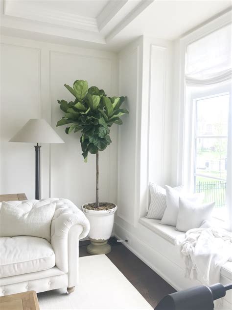 Fiddle Leaf Fig Tree Living Room Decor Interior Design White Spaces