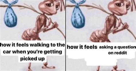 Best Sad Ant With A Bindle Memes For The Left Out And Dejected