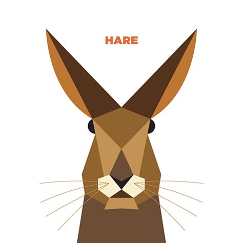 50 Animals Illustrations Drew With Simple Shapes The Design
