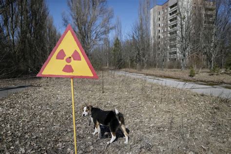 17 Photos That Show What The Radioactive Area Around Chernobyl Looks