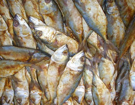 Karena batu berat jenisnya tinggi, maka ongkos angkut ketempat pekerjaan mahal, adapun bata lebih murah. Serba Serbi: Cara membuat Ikan Peda